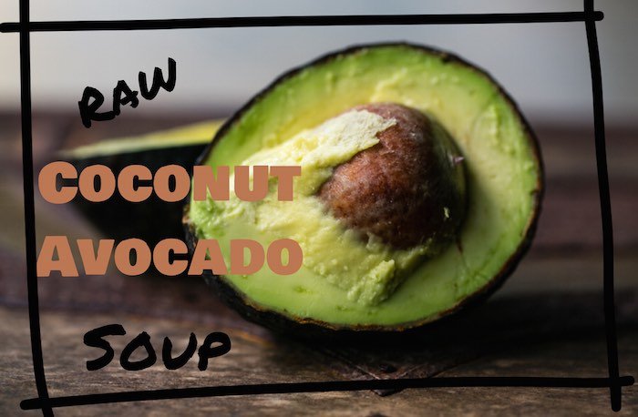 Refreshing Avocado Coconut Soup Blue Osa Yoga Costa Rica