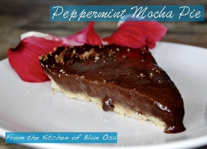 Slice of heaven Peppermint Mocha Pie