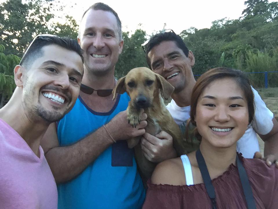 dog rescue in costa rica