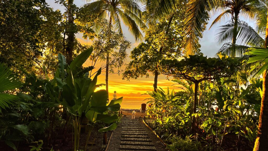 Pathway through a jungle garden opening up to a bright orange and yellow sunset over the ocean at Blue Osa in Costa Rica.