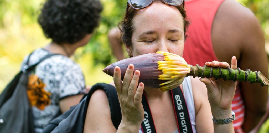going on a chocolate tour in costa rica