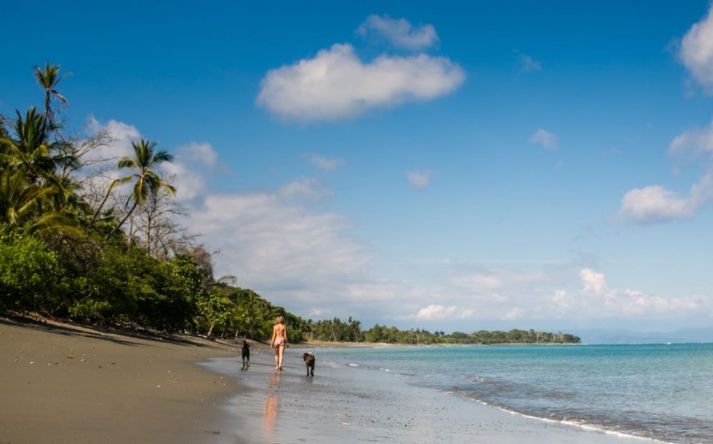 Dry season beach and green season rainforest at Blue Osa — Costa Rica's South Pacific weather through the year