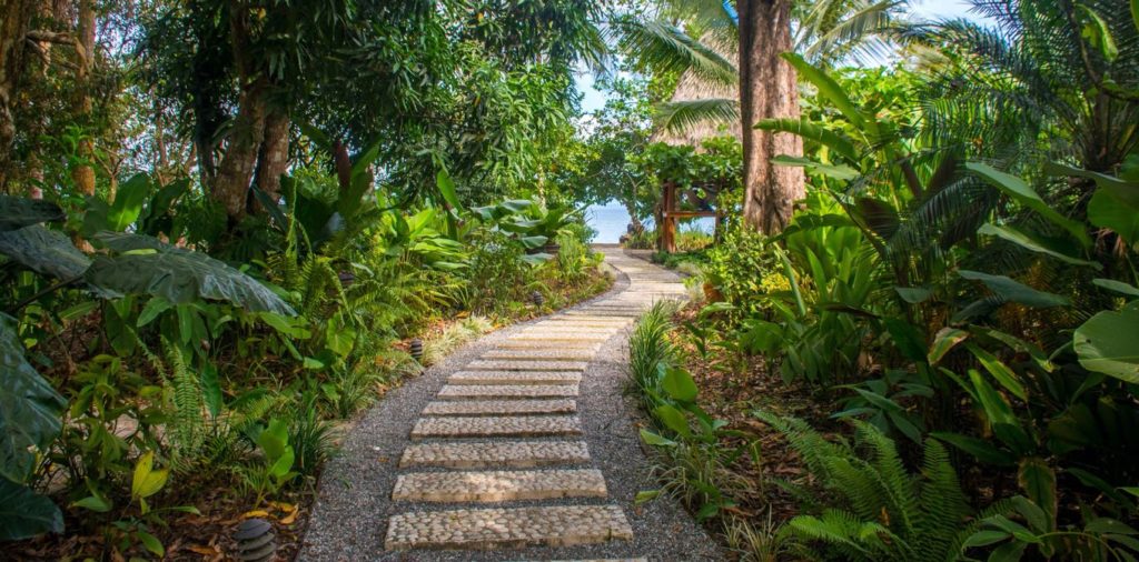A path to the beach from Blue Osa Beach resort