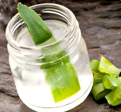 aloe vera