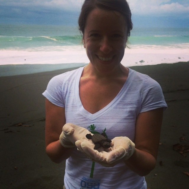 woman holding a baby turtle standing on the beach