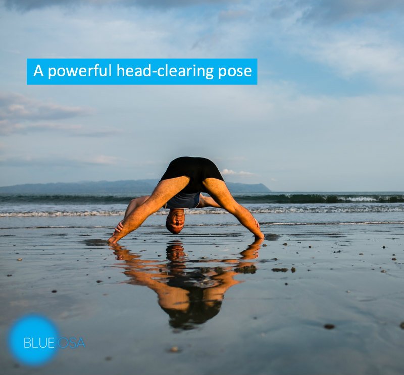 Aaron prasarita padottanasana Blue Osa costa rica beach