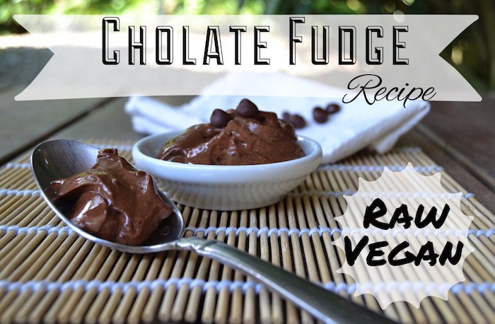 Raw Vegan Fudge Blue Osa Yoga Costa Rica Recipe