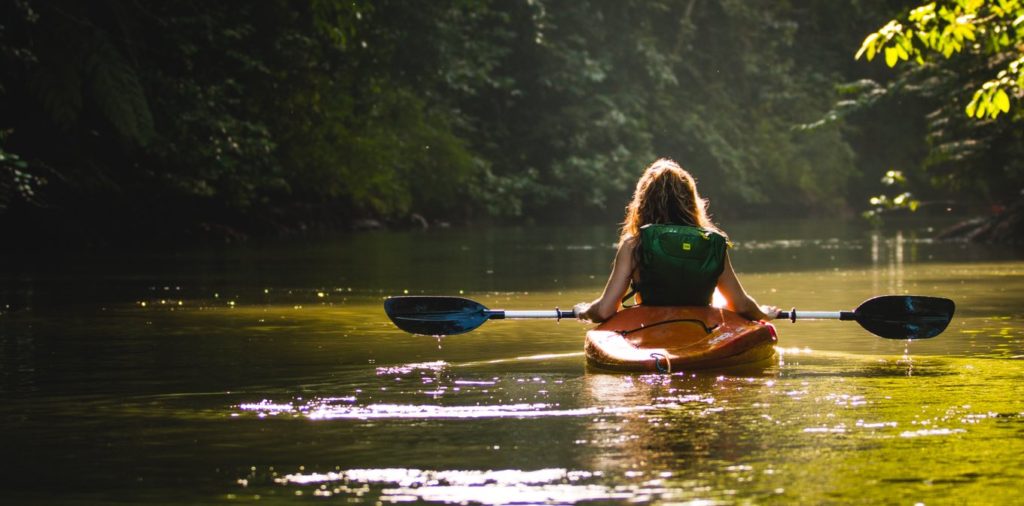 mangrove kayak tour || eco-tour adventure