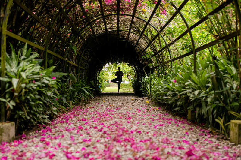 Woman standing in tree pose under Blue Osa's gazebo with pink bougainvillea flower petals on the ground and on vines above. 