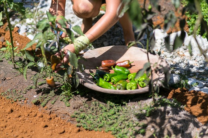Lessons learned from volunteering