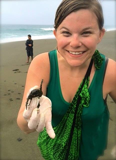 Blue Osa Guest saves the sea turtles in Costa Rica