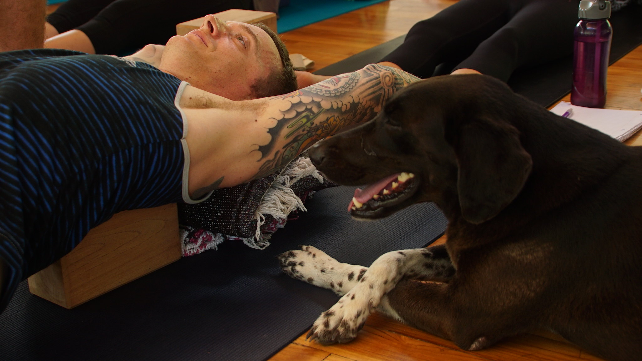 One-Month Immersion Yoga Teacher Training Costa Rica