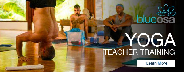 Yoga teacher training intensive blue osa yoga retreat + spa