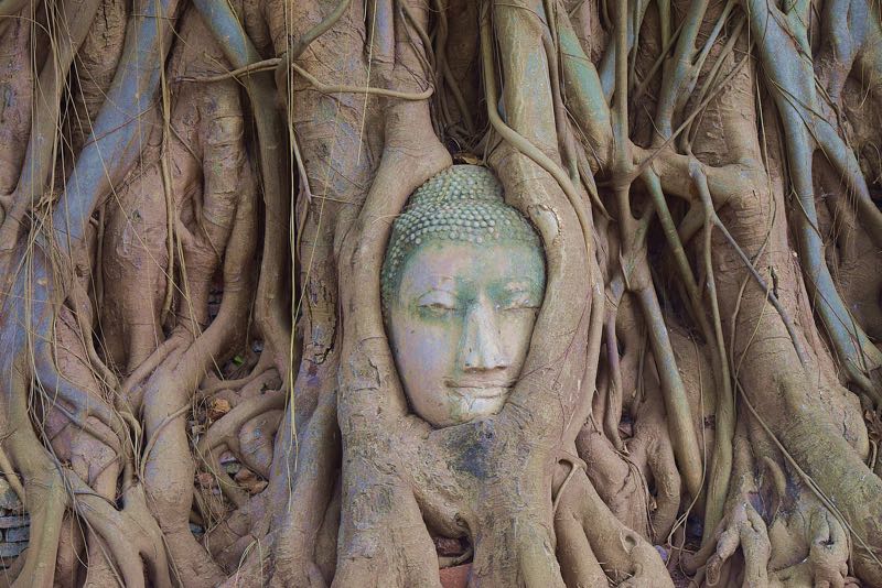 balance your root chakra