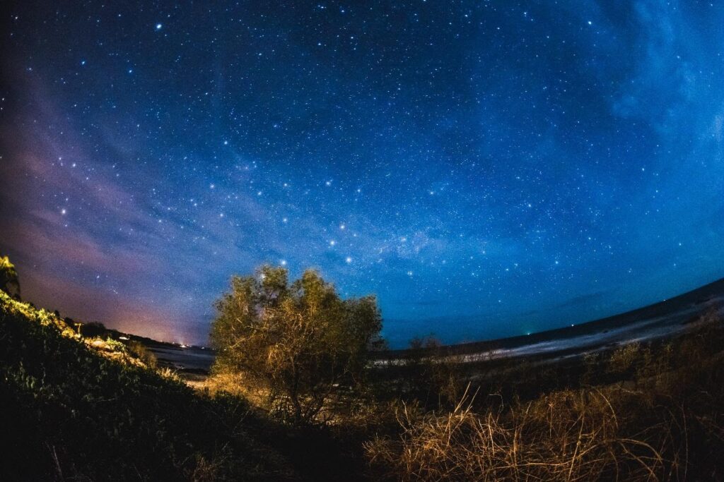 A blue and purple starry sky over a beach.
