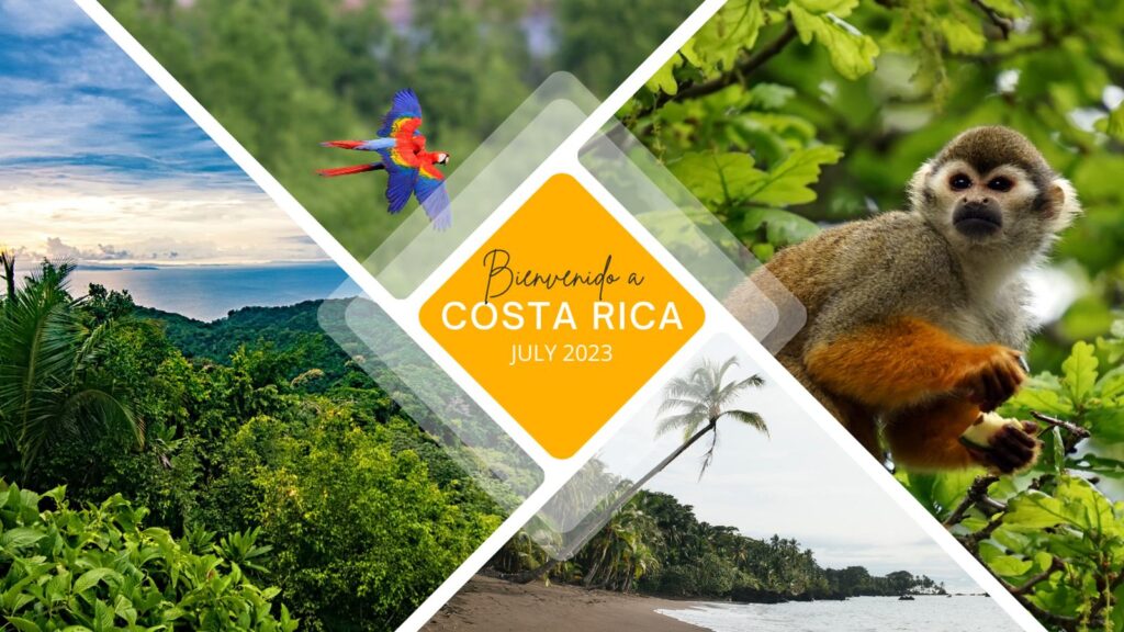 Costa Rica rewilding yoga retreat