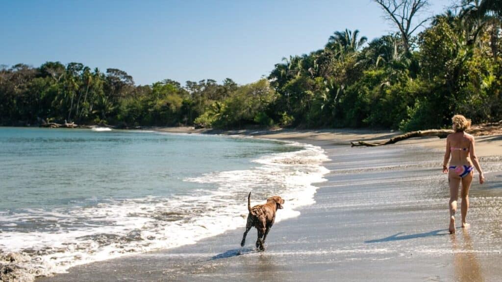 meditation on the beach blue osa yoga retreat Costa Rica