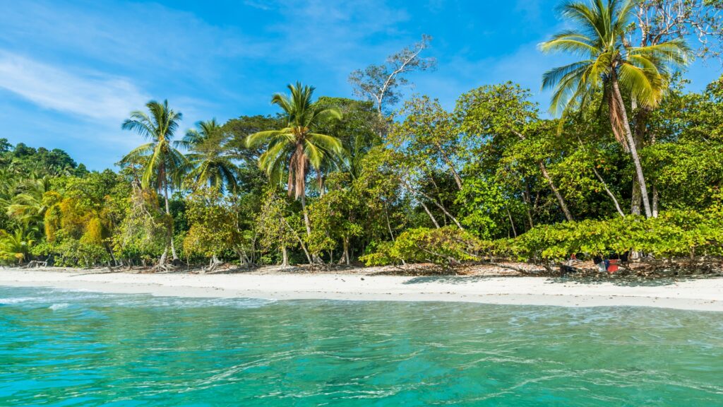 View of the tropical beach at Blue Osa in Costa Rica from the ocean where guests are swimming in the sea