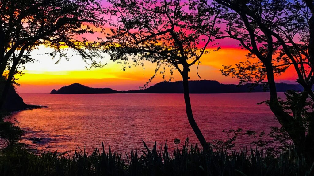 Neon pink and orange sunset over over the ocean with black silhouettes of the trees and mountains in the background. 