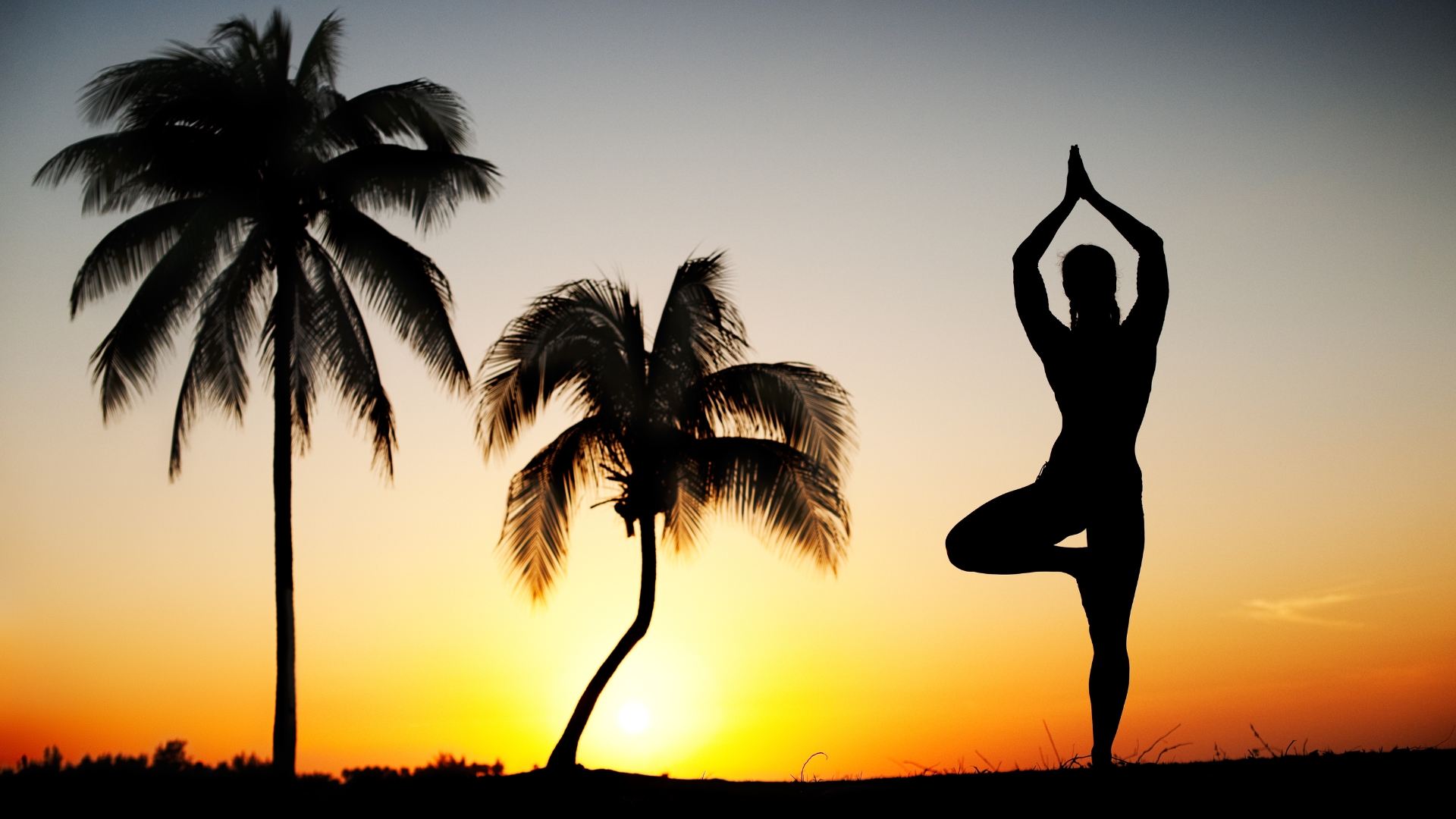 Silhouette of a woman practicing tree pose with a sunset and two palm trees behind her.