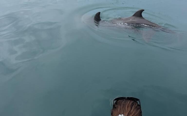 Carly sitting at the front of a boat with two dolphins surfacing just a few feet in front of her in Costa Rica. 