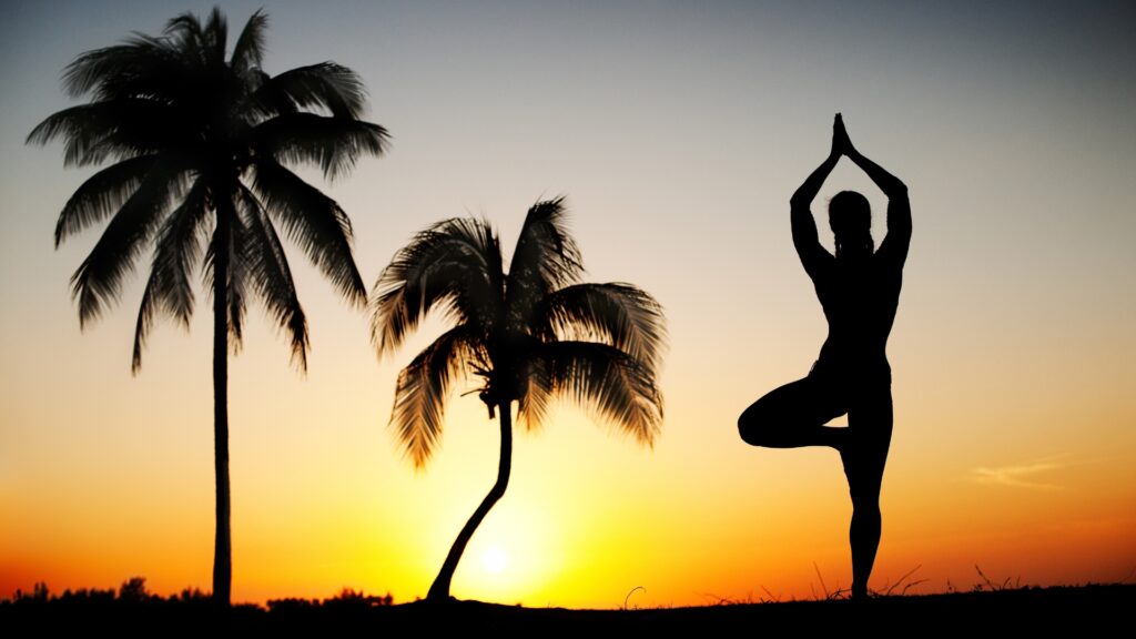 Silhouette of a woman standing in tree pose with palm trees and a sunset in the background. 
