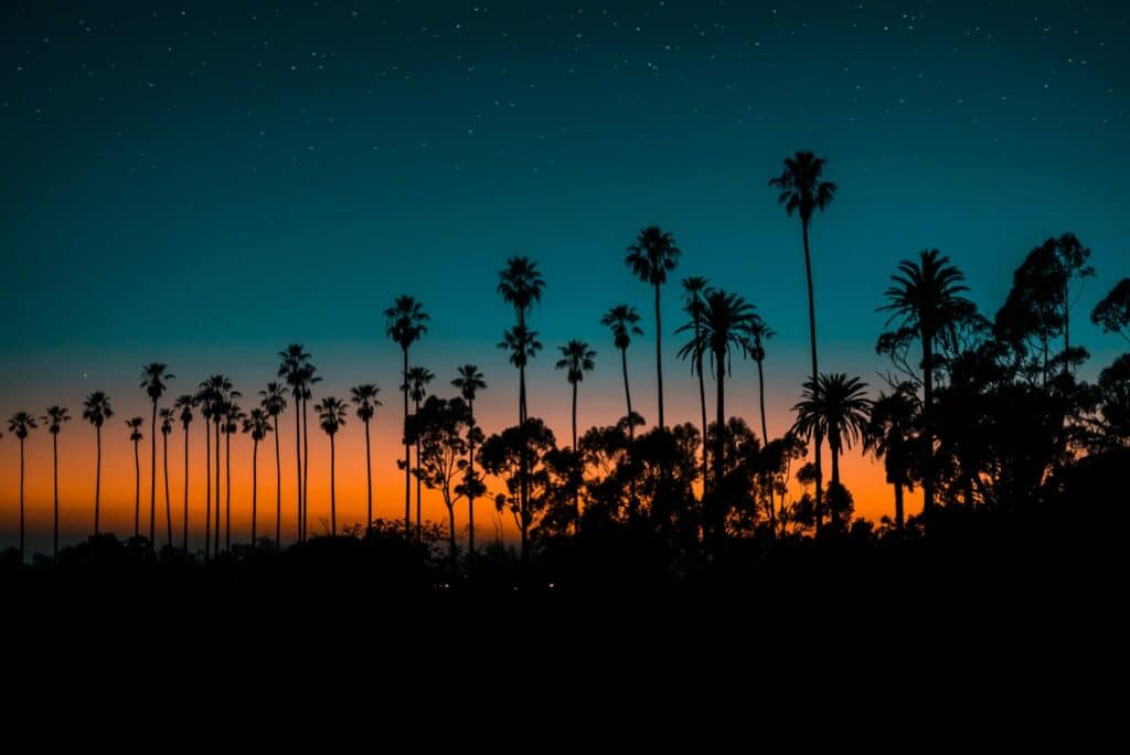 Photo by Gerson Repreza silhouette of trees