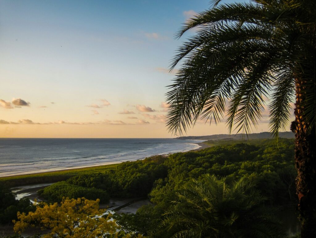 Nosara is a perfect place for yoga retreats in costa rica with a view of a beach with a palm tree in the foreground
